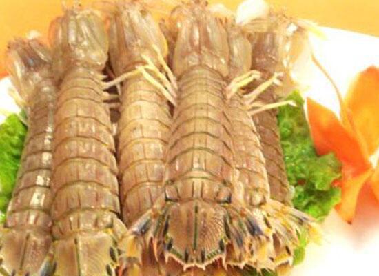 鮮活水產(chǎn)類(lèi)：瀨尿蝦/皮皮蝦