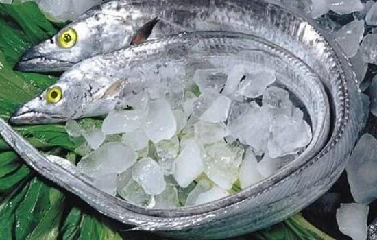 新鮮海產(chǎn)：冰凍帶魚(yú)