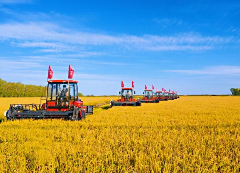 農產品配送公司為您分享報道：今年全年糧食有望再獲豐收