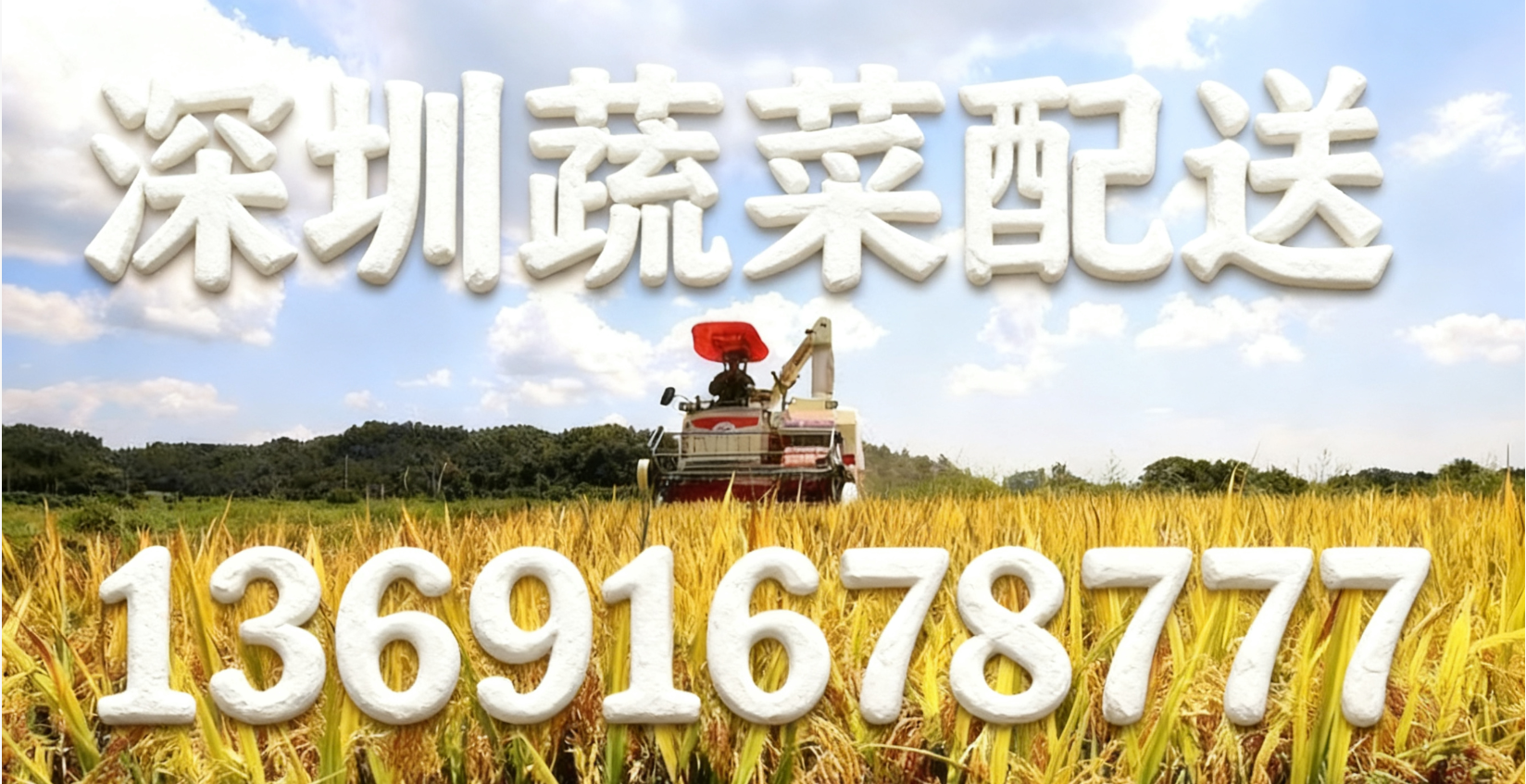 東莞蔬菜配送中心?解讀:“十五五” 怎么讓大家吃得更穩(wěn)、更優(yōu)？