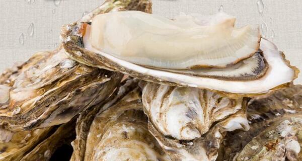 鮮活水產(chǎn)品“牡蠣”配送后的常見問題